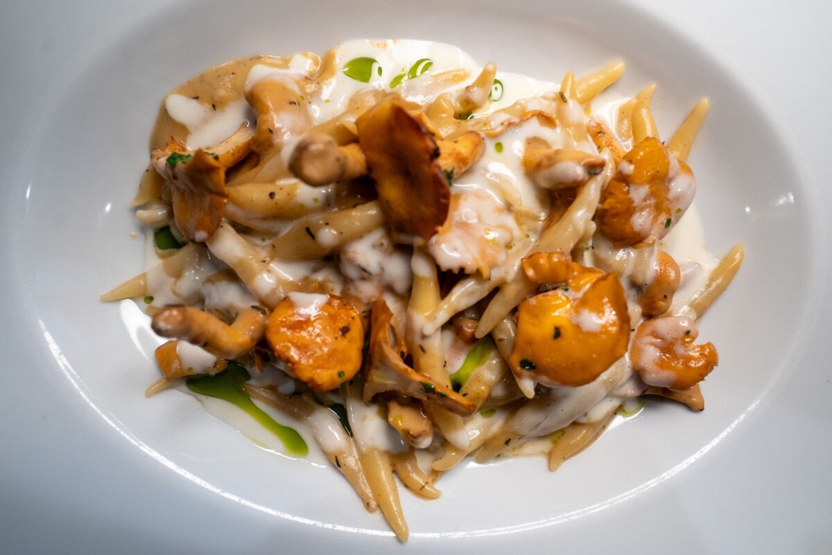 Konoba-Alla-Beccaccia-fazana-pasta Tjestenina s lisičarkama na bijelom tanjuru snimljena u restoranu Konoba Alla Beccaccia