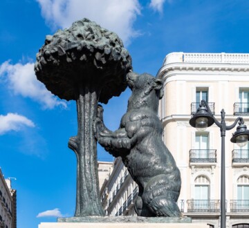 Kip medvjeda i stabla jagode u Madridu