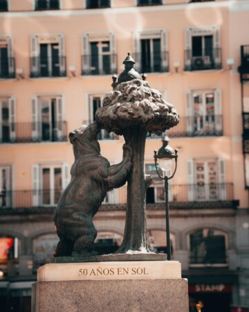 Kip medvjeda i stabla jagode