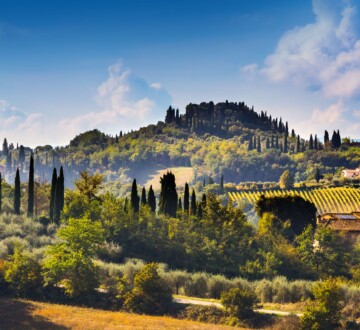 Radicondoli-italija-toskana