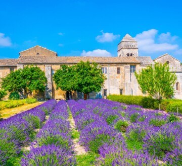 Saint-Paul-de-Mausole-provansa-francuska Psihijatrijska ustanova Saint-Paul-de-Mausole