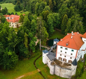 Dvorac Snežnik