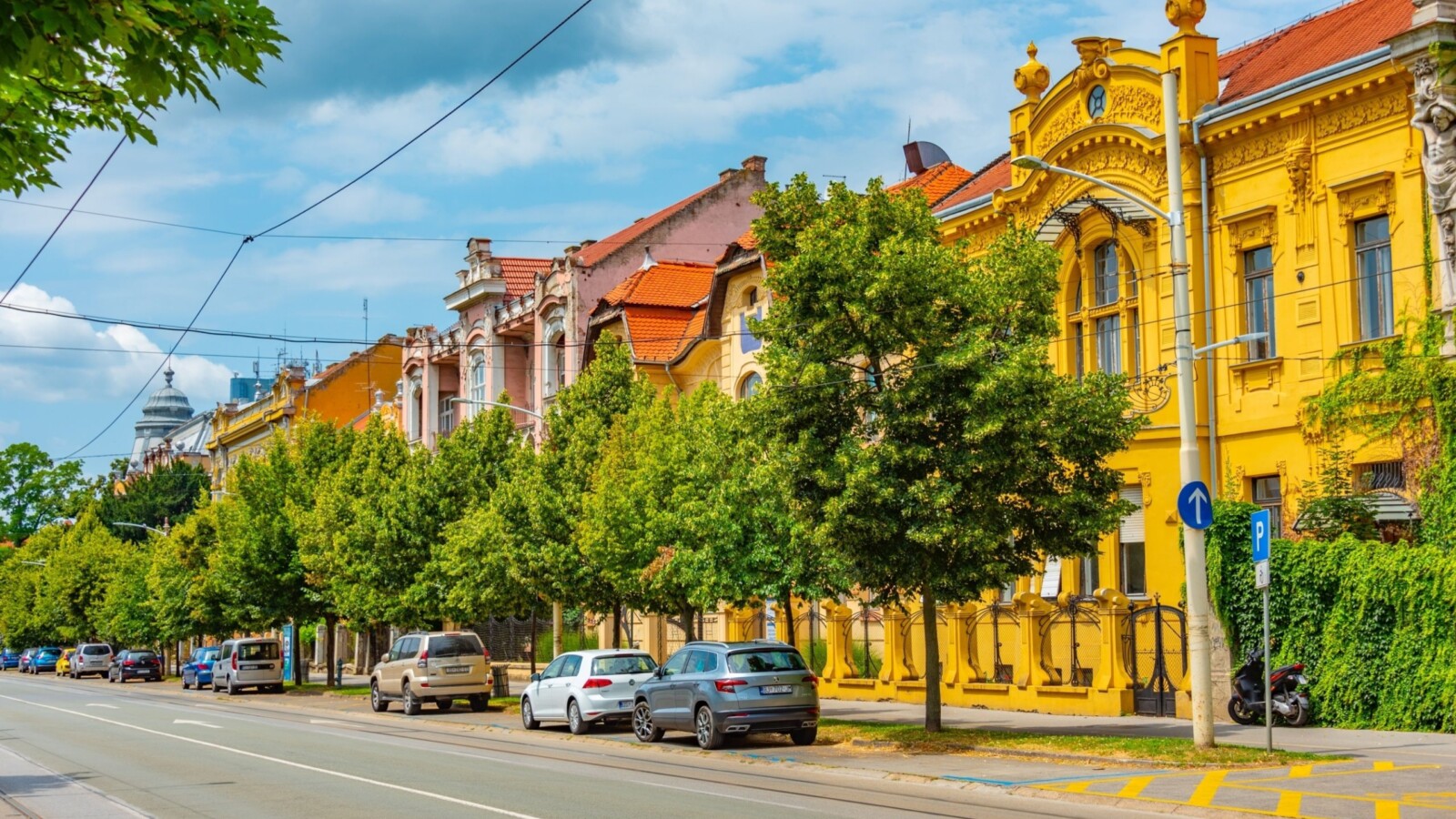Europska avenija u Osijeku pogled na stabla i palače s ceste