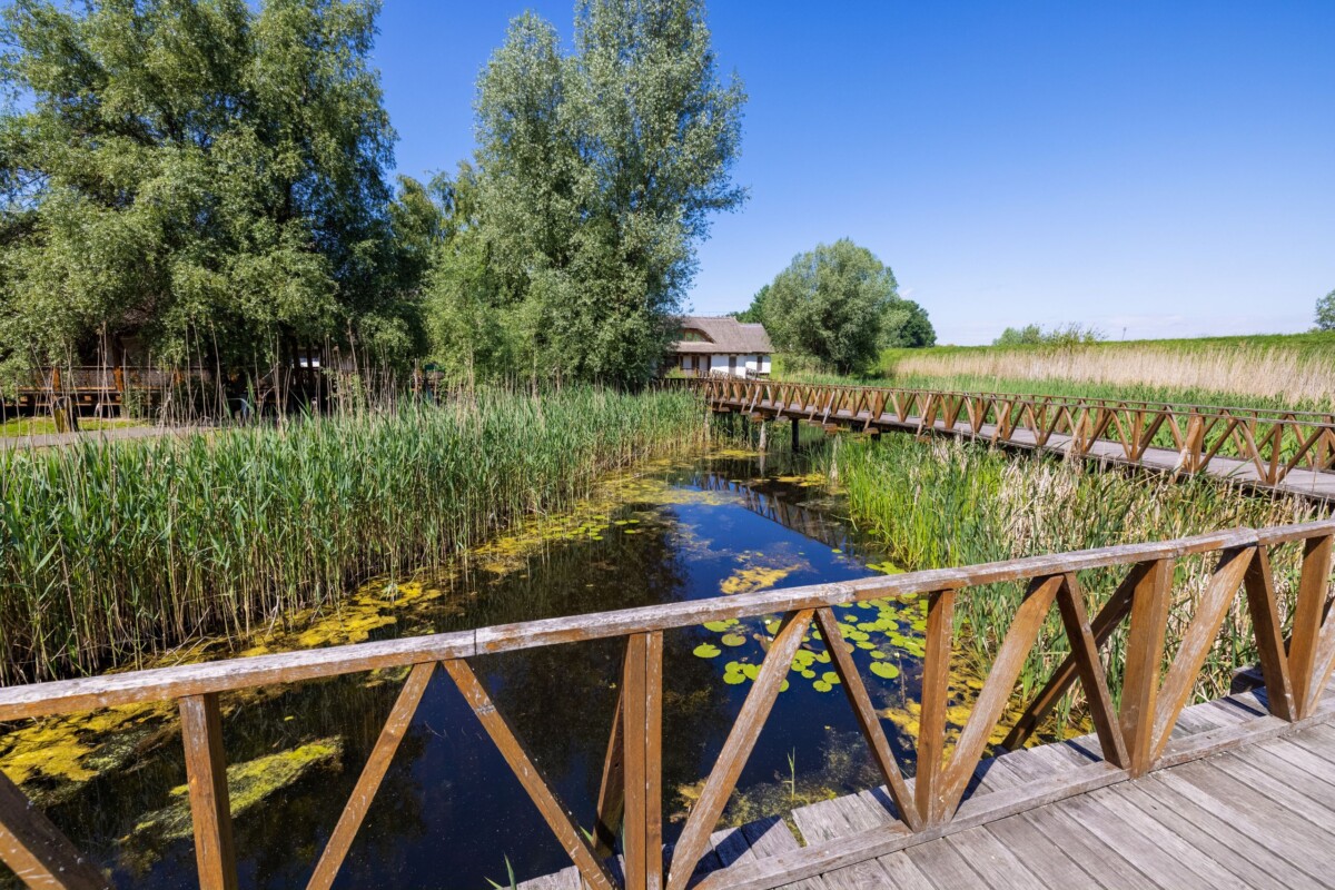kopacki-rit-park-prirode Drvena staza u Parku prirode Kopački rit