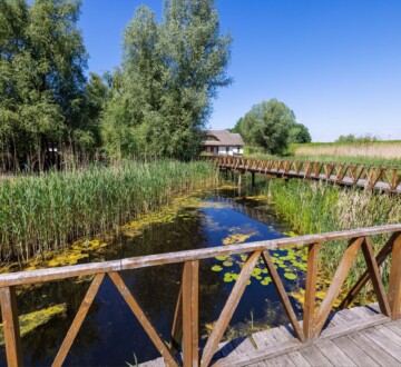 kopacki-rit-park-prirode Drvena staza u Parku prirode Kopački rit