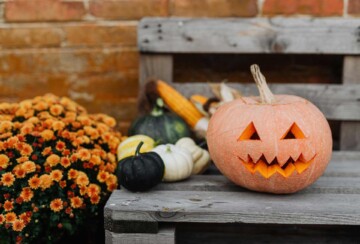 nov-vjestica-Halloween-2