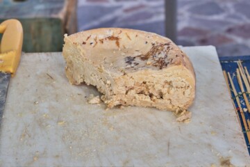 sir-casu-marzu-sardinija