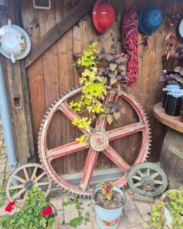 Detalj koji čuva zbirka Ulica zaboravljenog vremena u Baranji