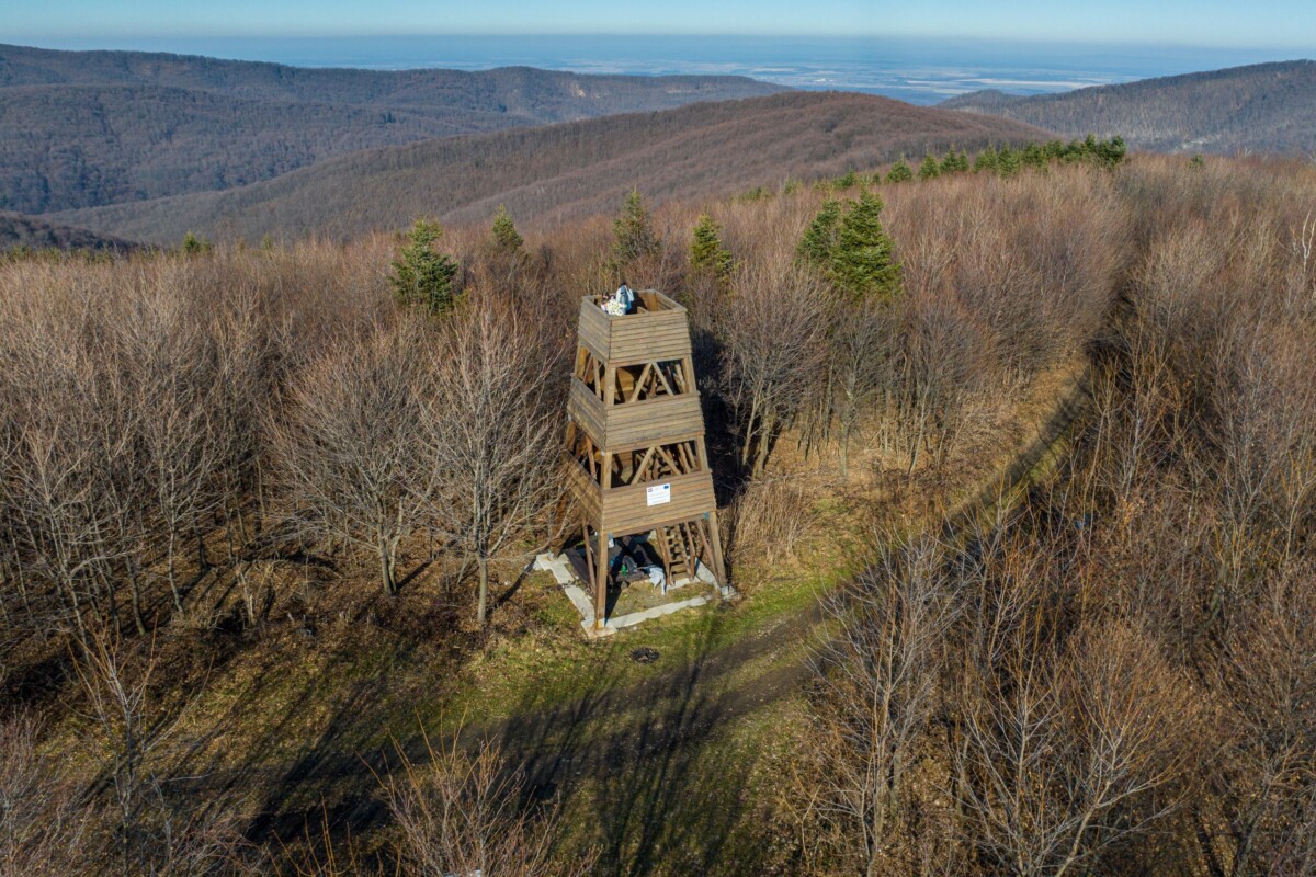 Vrh Javor na granici planina Krdnija i Papuk