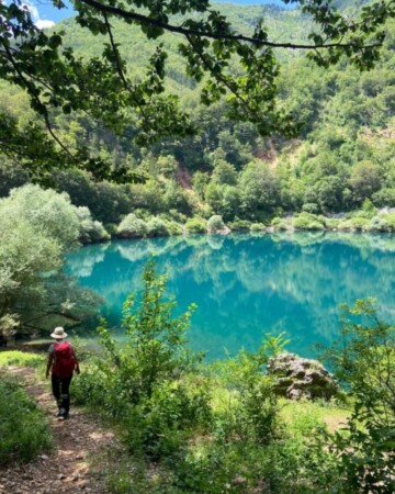 Pogled na zeleno Babića jezero kroz krošnje stabala