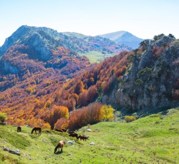 nacionalni-park-Pollino-2