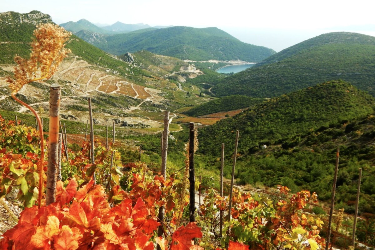 peljesac-napoleonov-put-3