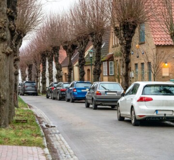 Otkrijte najmanji grad u Njemačkoj, šarmantni Arnis na obali Schlei zaljeva. Ima samo jednu ulicu, 260 stanovnika i priče koje se pamte.