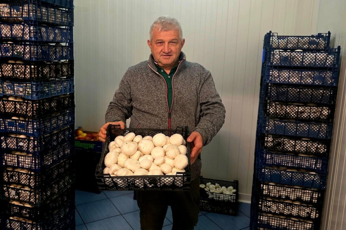 Boris Ogrizek, uzgajivač šampinjona s kutijom svojih proizvoda