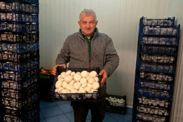 Boris Ogrizek, uzgajivač šampinjona s kutijom svojih proizvoda
