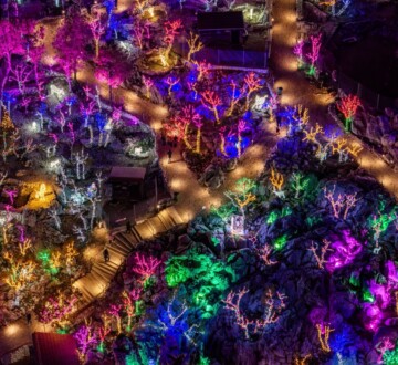 božićno-selo-gornji-dolac