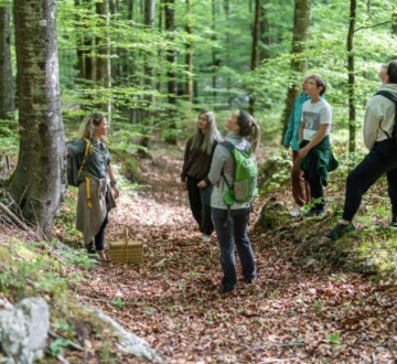 forest-melody-bohinj