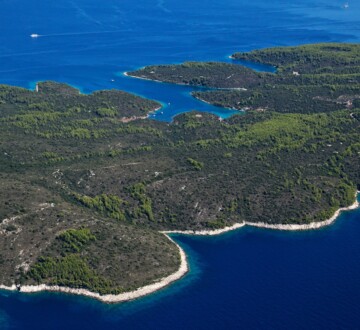 Otok Šćedro snimljen iz zraka i prekriven gustom šumom