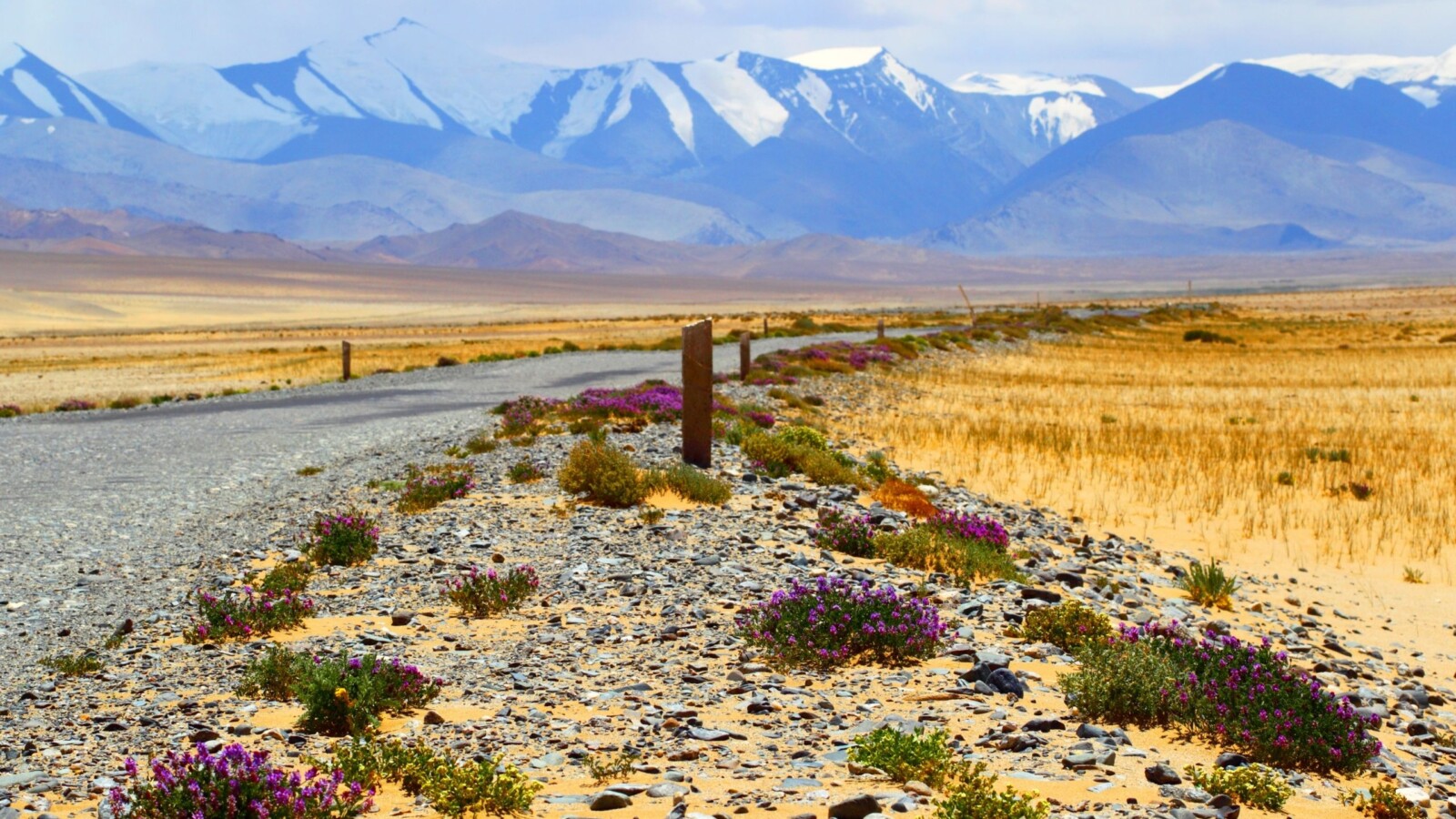 pamir