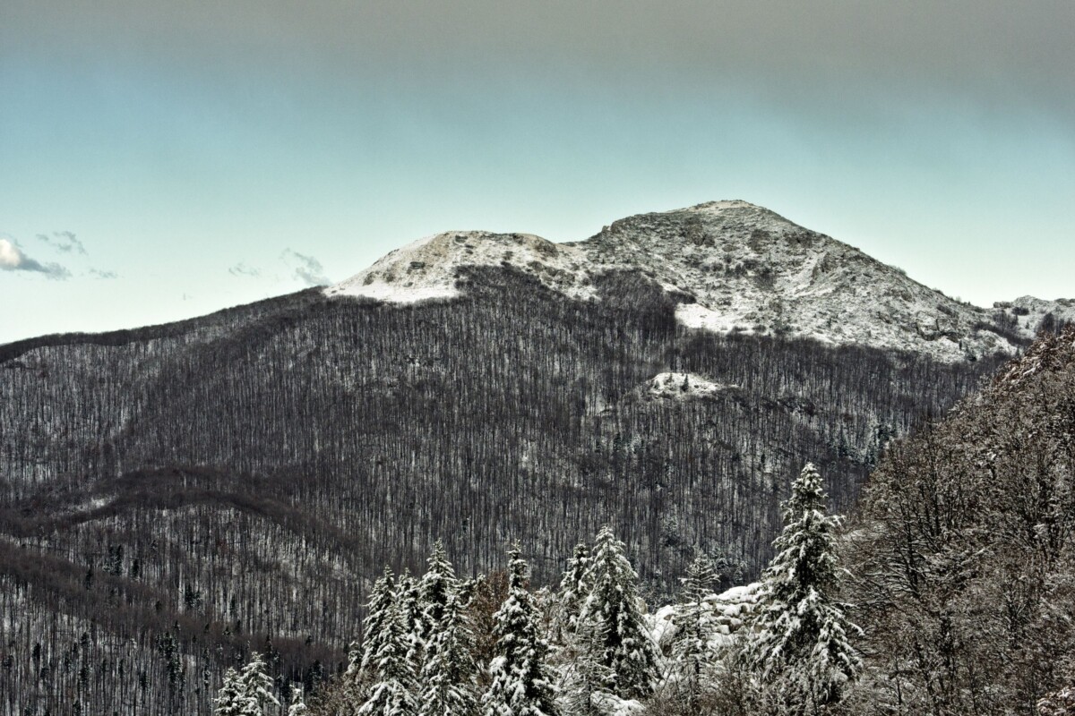 planina-snjeznik