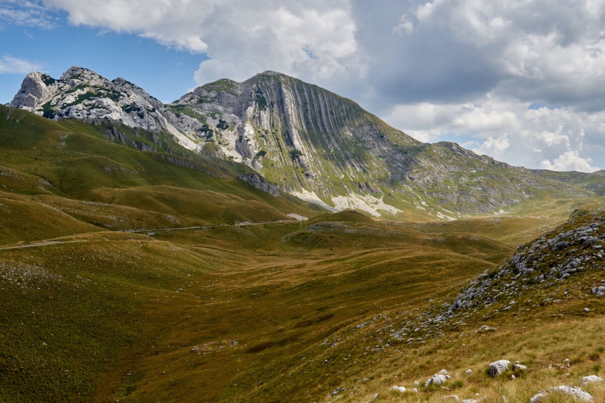 prutaš-durmitor-2