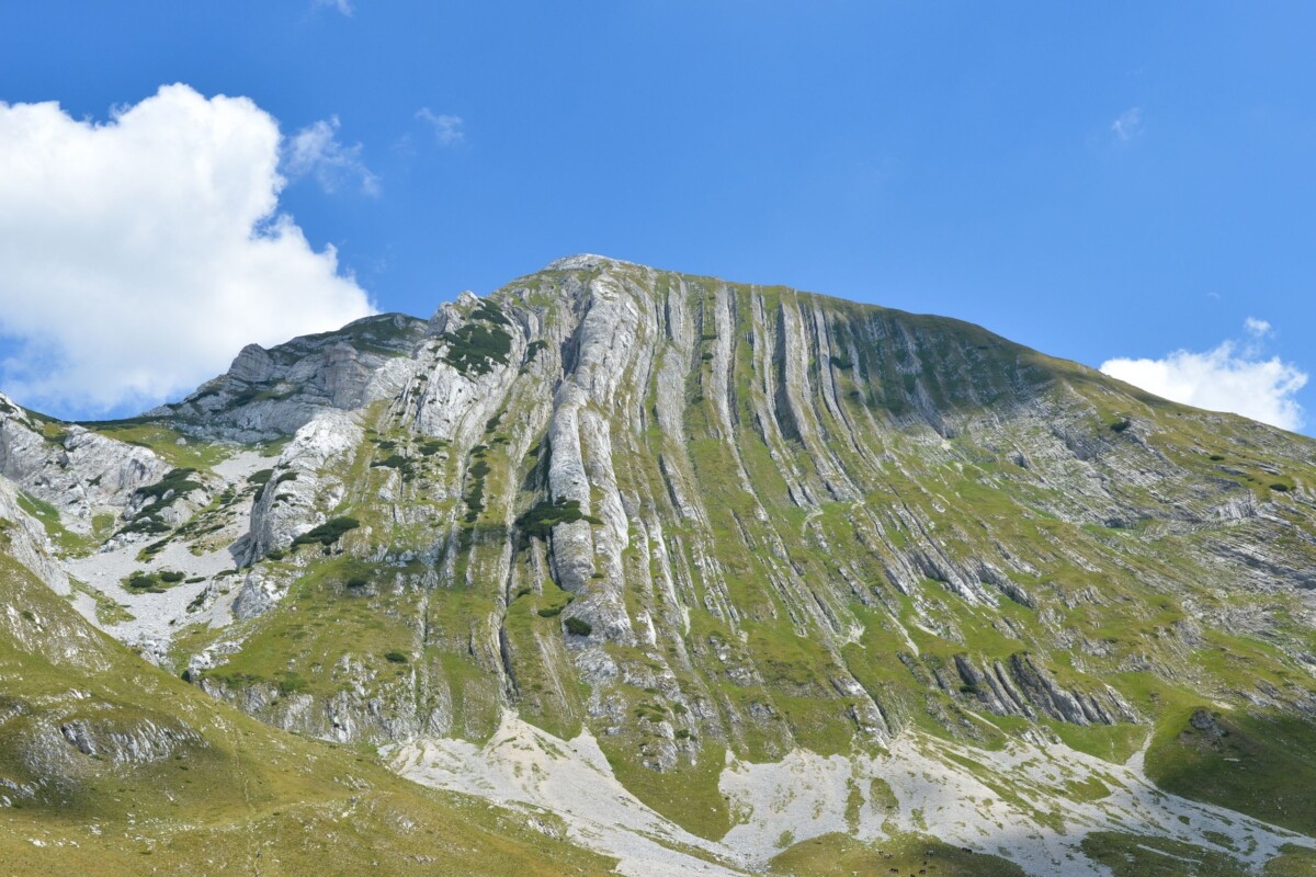 prutaš-durmitor-3