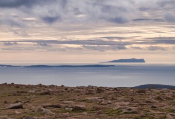 otok Foula1