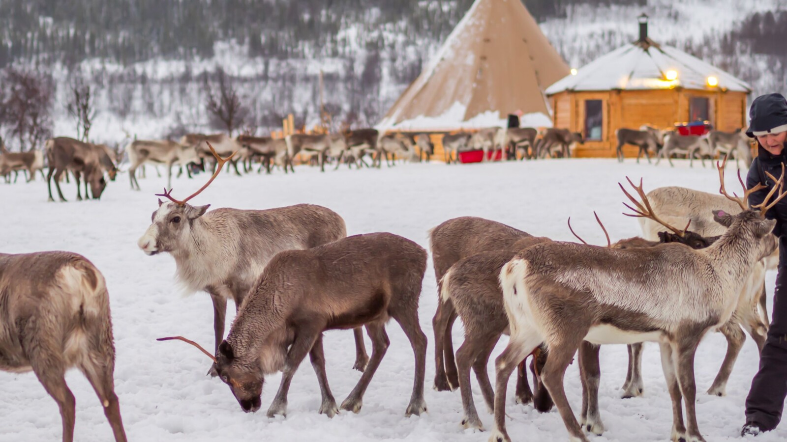 saami-selo-sobovi