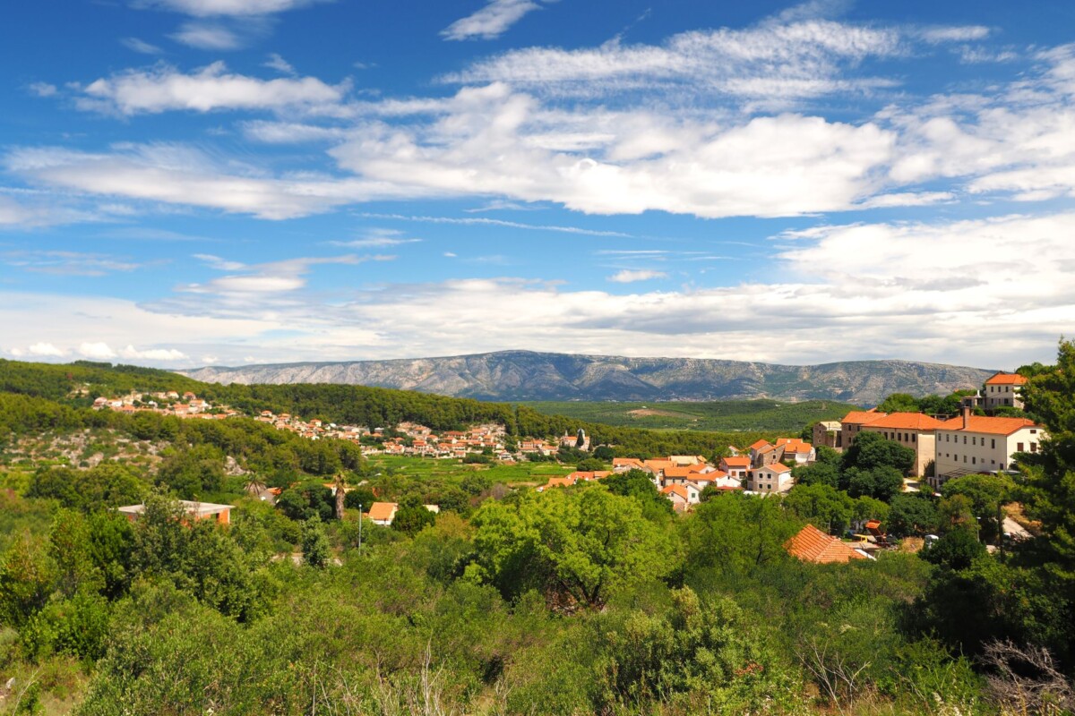 Svirce Hvar2