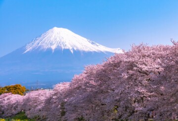 planina Fuji Japan3