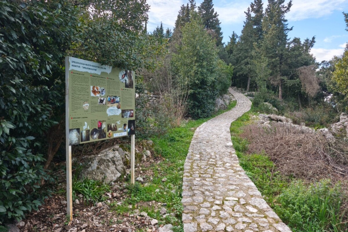 vjetroorgulje-rogotin2