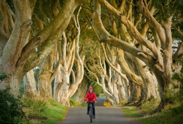 Dark Hedges Sjeverna Irska