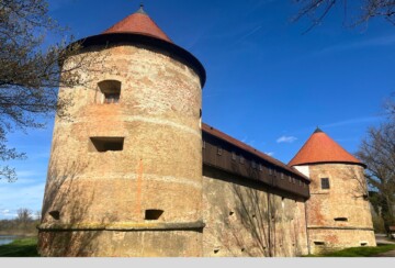 Stari grad Sisak4