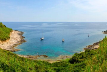 Susak1