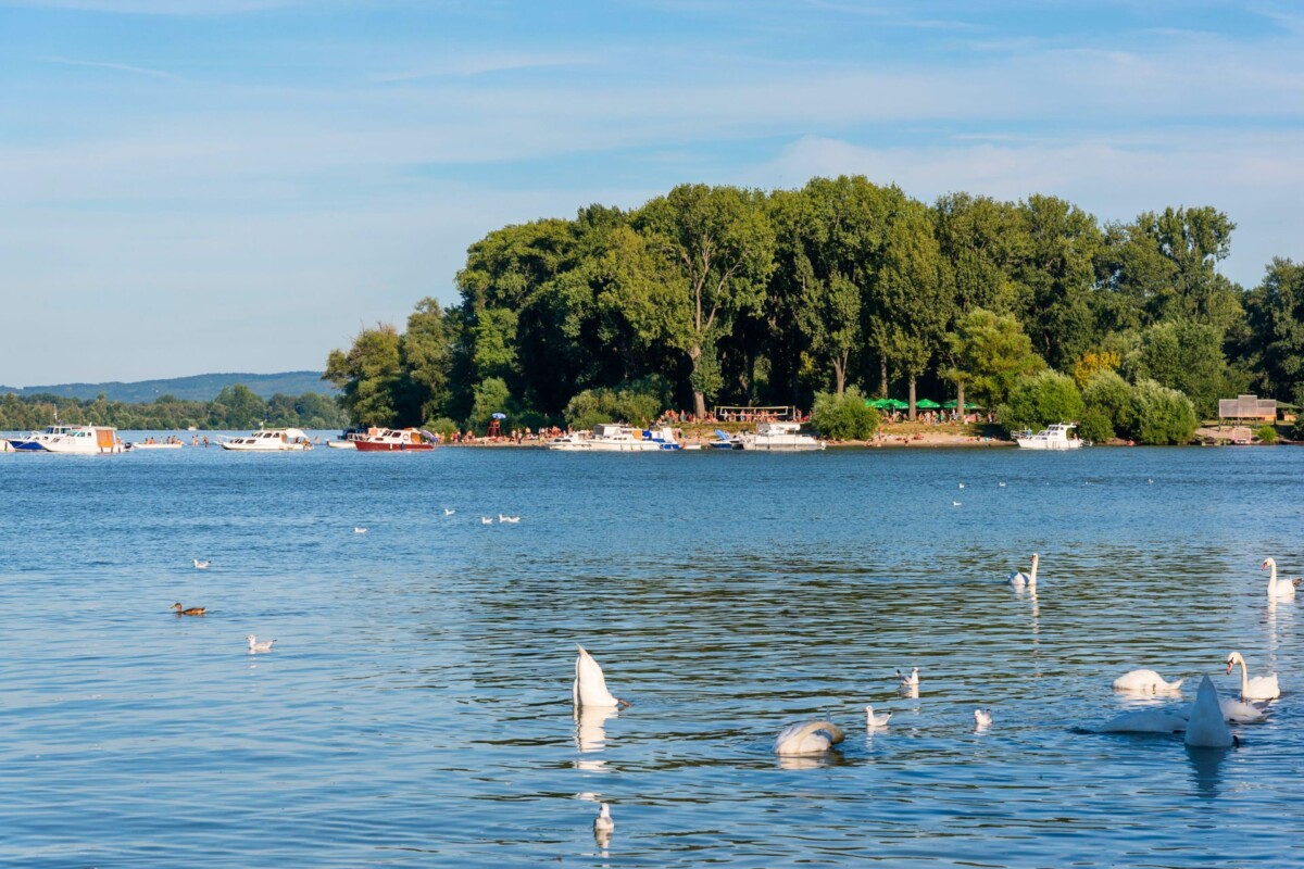 Veliko ratno ostrvo Beograd2