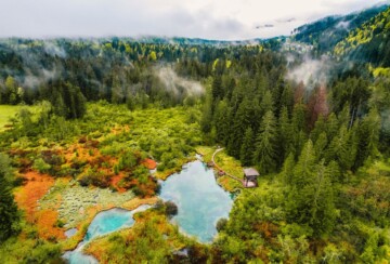 Zelenci Slovenija1
