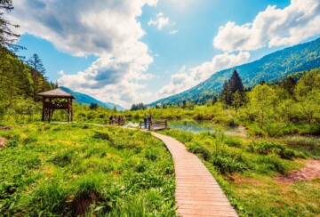 Zelenci Slovenija2