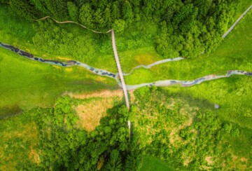 Zelenci Slovenija4