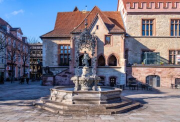 djevojka s guskama Gottingen Njemacka3