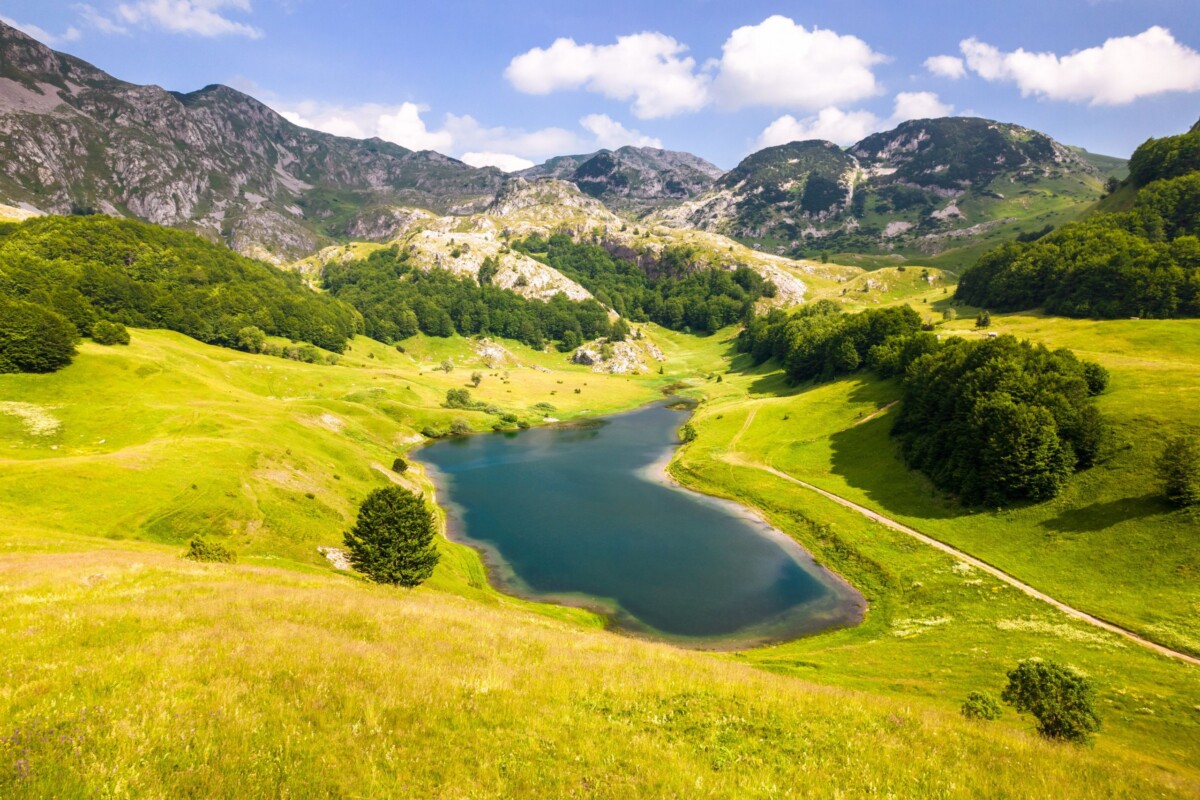 Pogled na Orlovačko jezero na Zelengori okruženo livadama i stablima