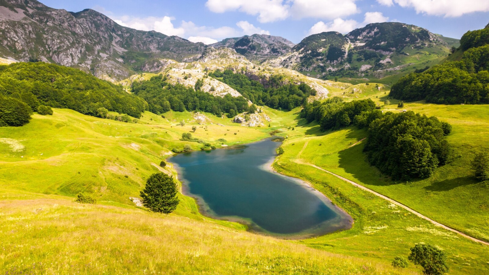 orlovacko-jezero-zelengora Pogled na Orlovačko jezero na Zelengori okruženo livadama i stablima