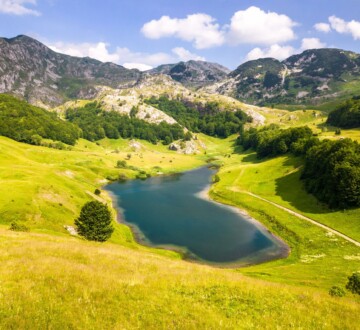 Pogled na Orlovačko jezero na Zelengori okruženo livadama i stablima