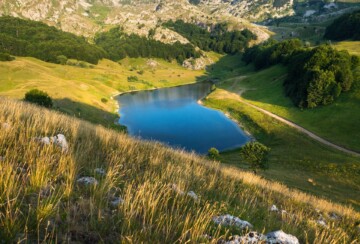 Pogled na Orlovačko jezero na Zelengori okruženo livadom i stablima