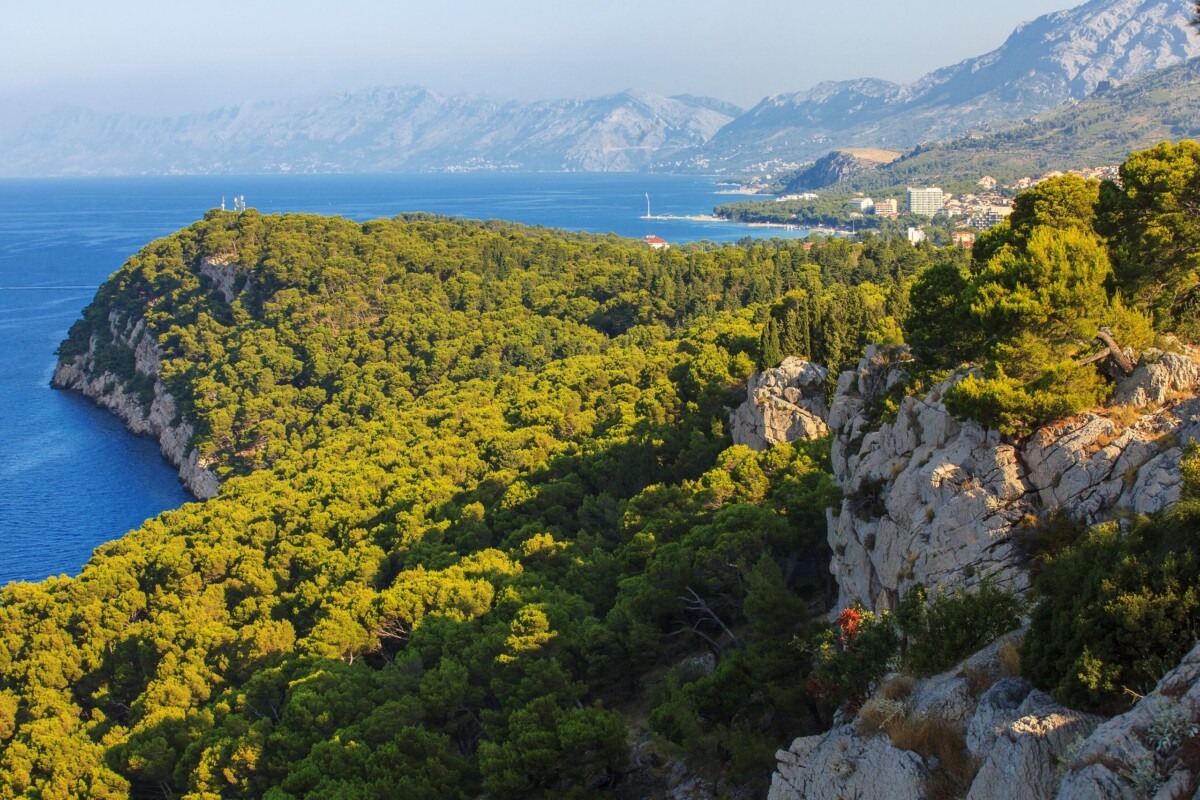 poluotok-suma-osejava-makarska