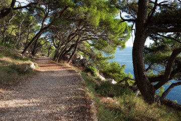 poluotok-suma-osejava-makarska-staza