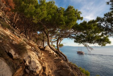 poluotok-suma-osejava-makarska3
