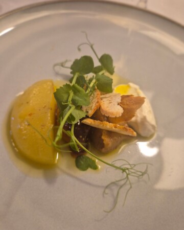 restoran-vodnjanka-desert