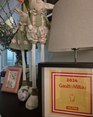 restoran-vodnjanka-priznanja