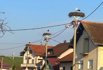 rode Zagreb2