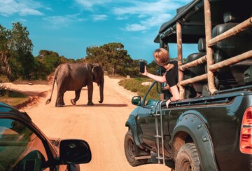 safari-afrika